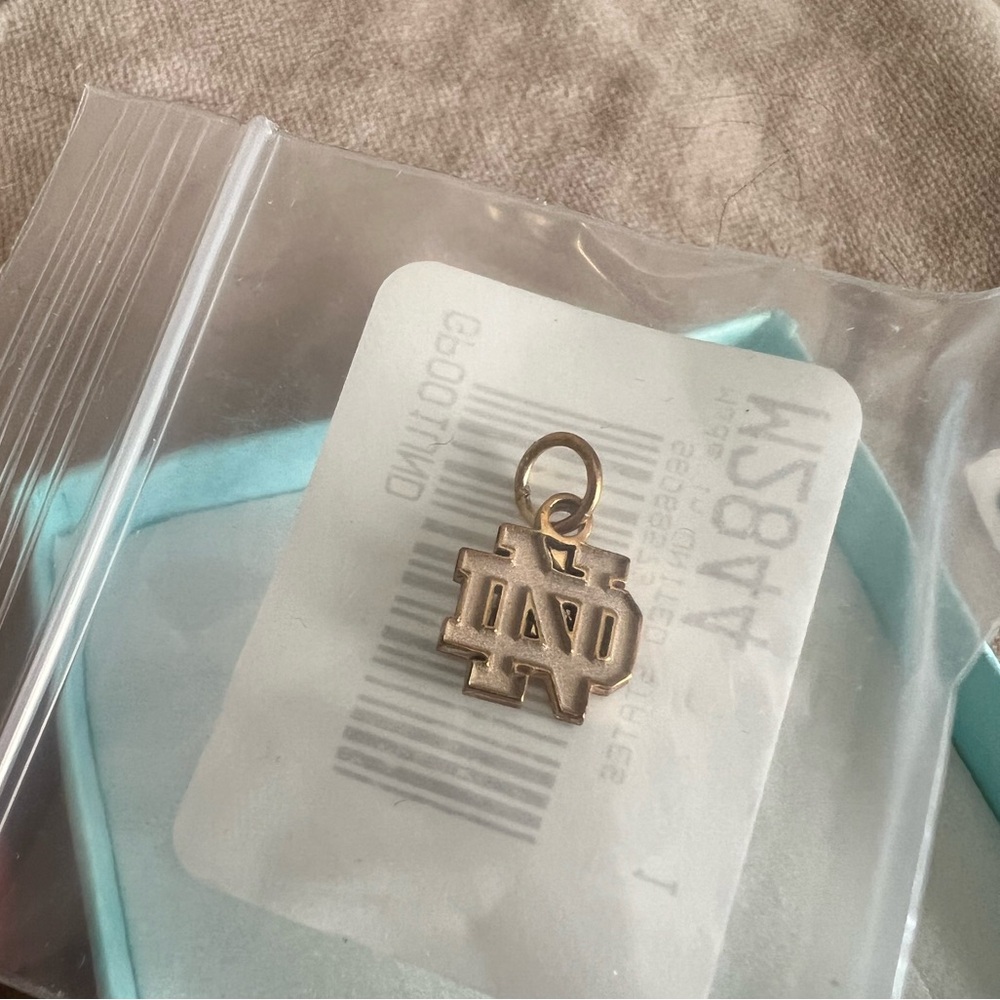 Notre Dame pendant